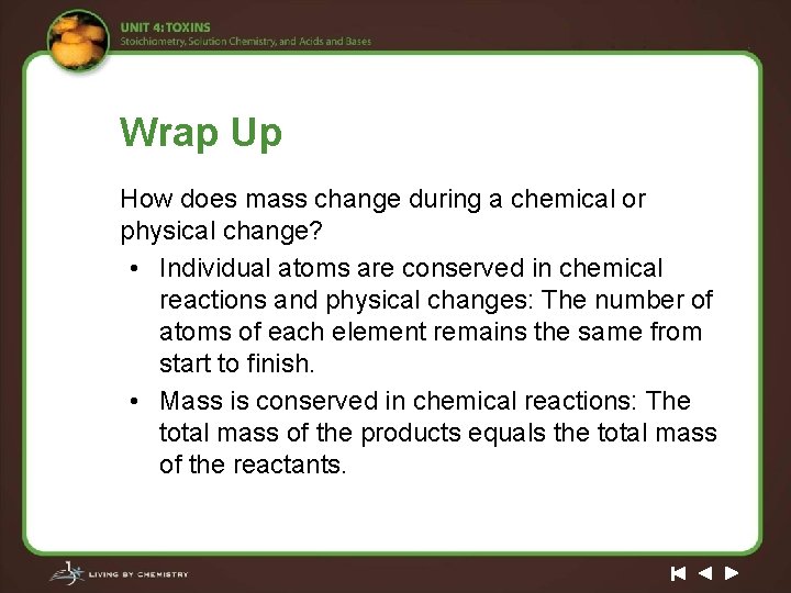 Wrap Up How does mass change during a chemical or physical change? • Individual