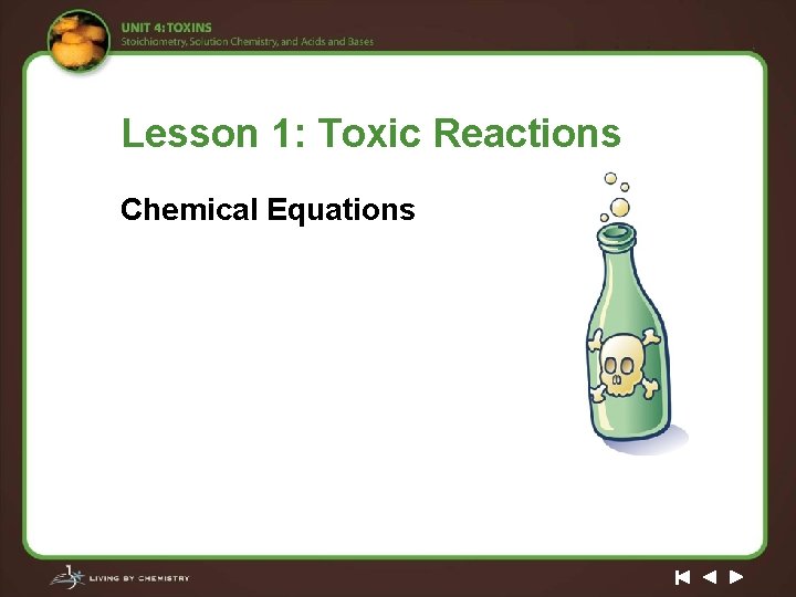 Lesson 1: Toxic Reactions Chemical Equations 