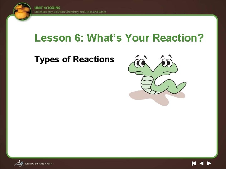 Lesson 6: What’s Your Reaction? Types of Reactions 