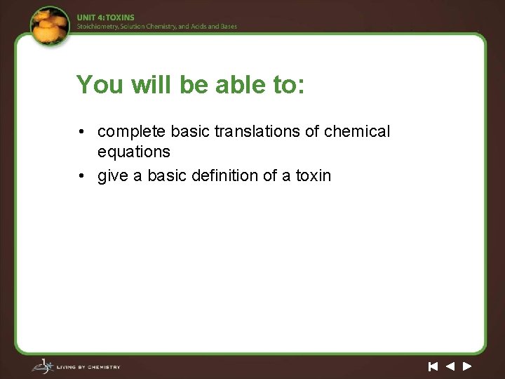 You will be able to: • complete basic translations of chemical equations • give
