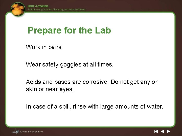 Prepare for the Lab Work in pairs. Wear safety goggles at all times. Acids
