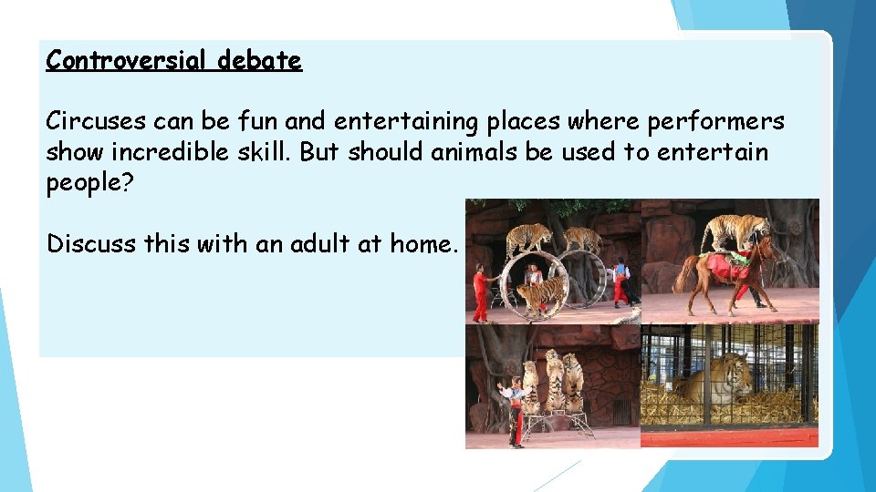 Controversial debate Circuses can be fun and entertaining places where performers show incredible skill.
