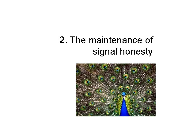 2. The maintenance of signal honesty 