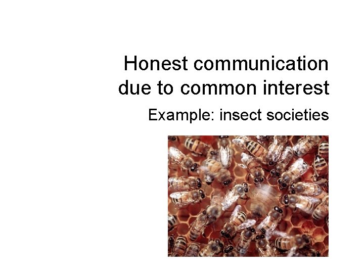 Honest communication due to common interest Example: insect societies 