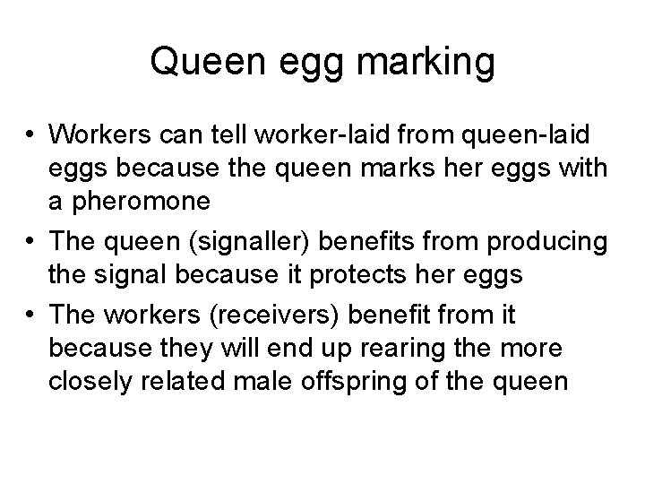 Queen egg marking • Workers can tell worker-laid from queen-laid eggs because the queen