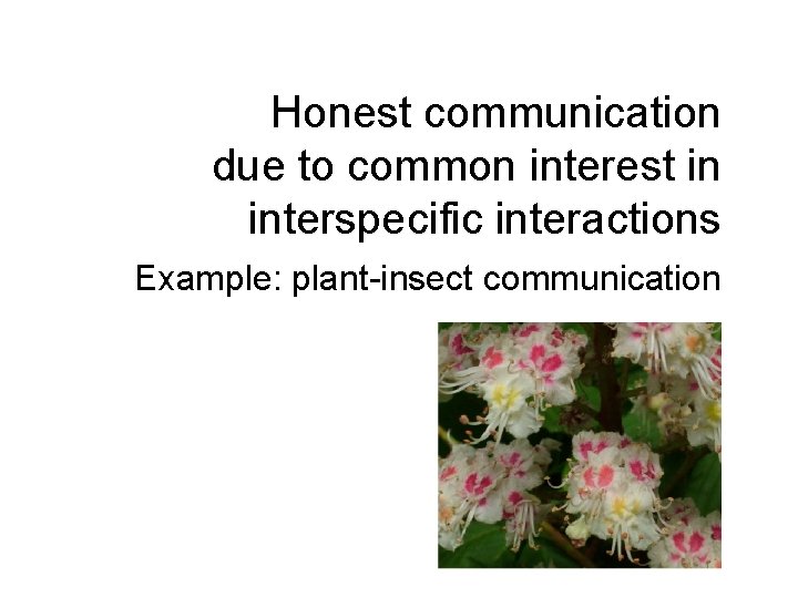 Honest communication due to common interest in interspecific interactions Example: plant-insect communication 