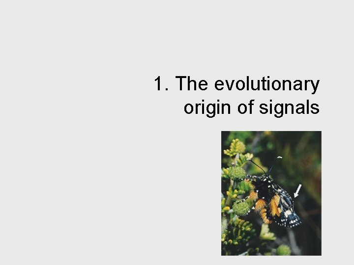 1. The evolutionary origin of signals 