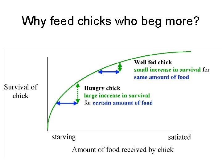 Why feed chicks who beg more? 