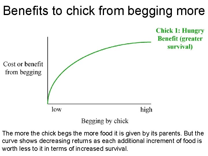 Benefits to chick from begging more The more the chick begs the more food