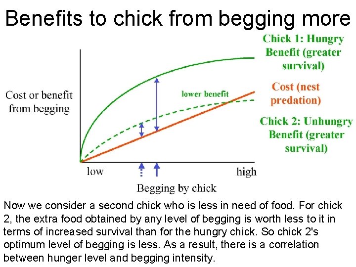 Benefits to chick from begging more Now we consider a second chick who is