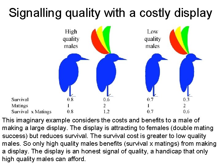 Signalling quality with a costly display This imaginary example considers the costs and benefits