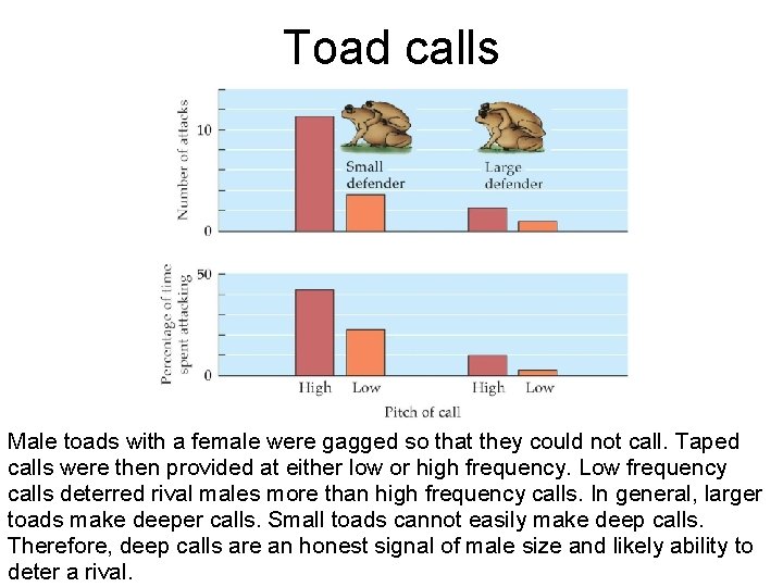 Toad calls Male toads with a female were gagged so that they could not