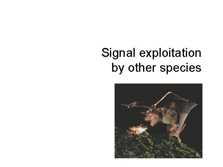 Signal exploitation by other species 