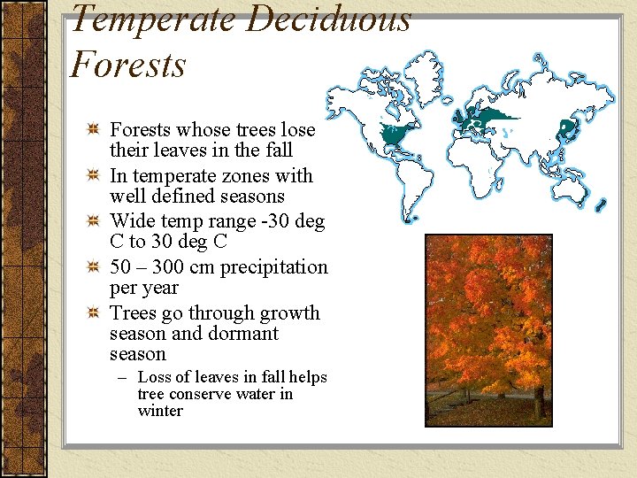 Temperate Deciduous Forests whose trees lose their leaves in the fall In temperate zones