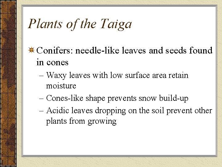 Plants of the Taiga Conifers: needle-like leaves and seeds found in cones – Waxy