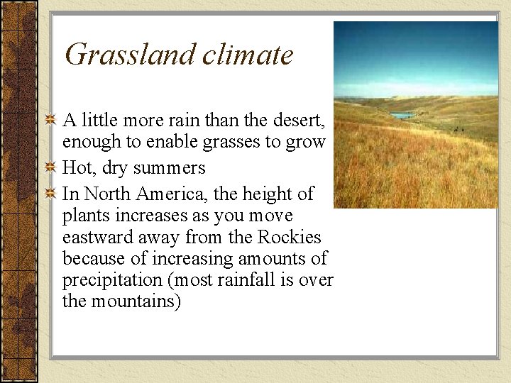 Grassland climate A little more rain than the desert, enough to enable grasses to