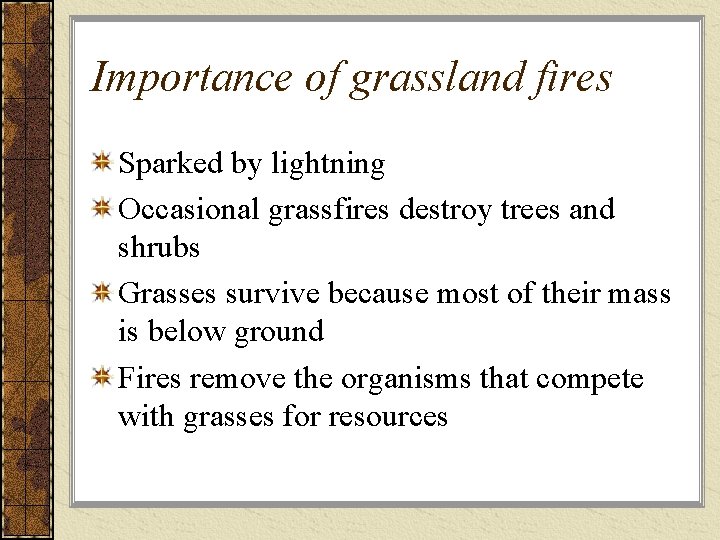 Importance of grassland fires Sparked by lightning Occasional grassfires destroy trees and shrubs Grasses