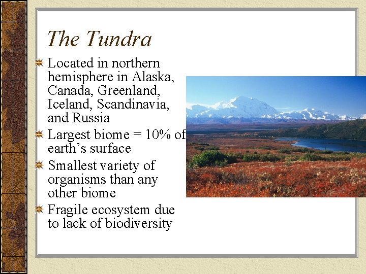 The Tundra Located in northern hemisphere in Alaska, Canada, Greenland, Iceland, Scandinavia, and Russia