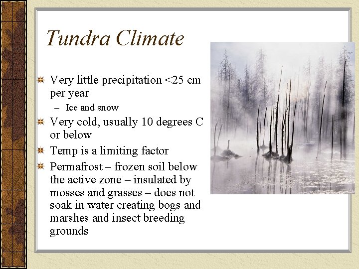 Tundra Climate Very little precipitation <25 cm per year – Ice and snow Very