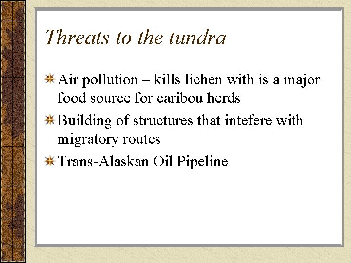 Threats to the tundra Air pollution – kills lichen with is a major food