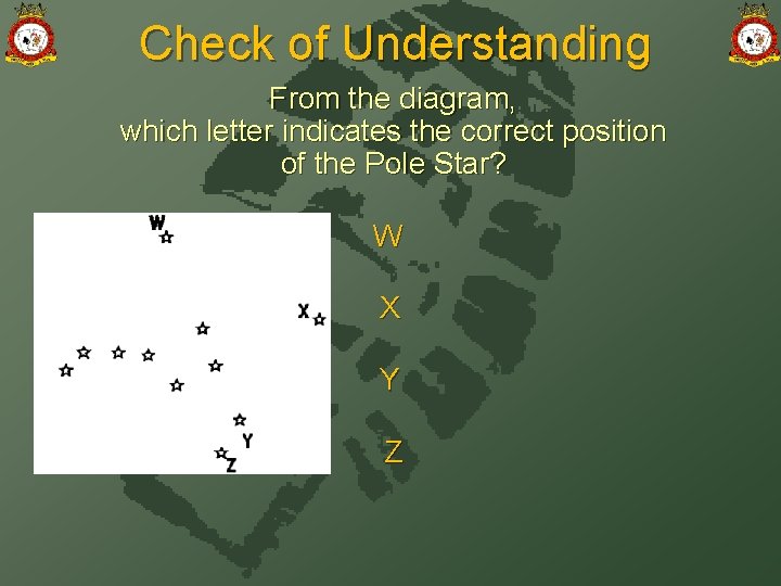 Check of Understanding From the diagram, which letter indicates the correct position of the