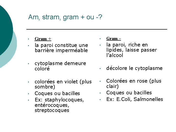 Am, stram, gram + ou -? • • • Gram + la paroi constitue