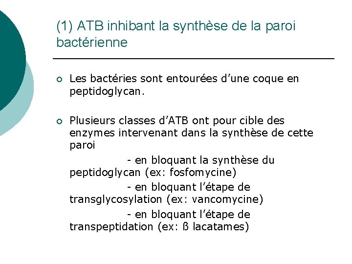 (1) ATB inhibant la synthèse de la paroi bactérienne ¡ Les bactéries sont entourées
