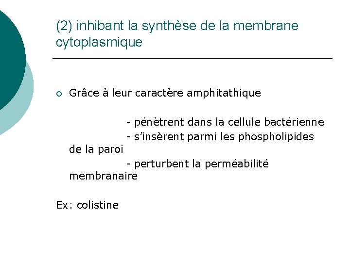 (2) inhibant la synthèse de la membrane cytoplasmique ¡ Grâce à leur caractère amphitathique