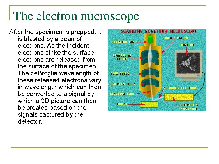The electron microscope After the specimen is prepped. It is blasted by a bean The electron microscope After the specimen is prepped. It is blasted by a bean