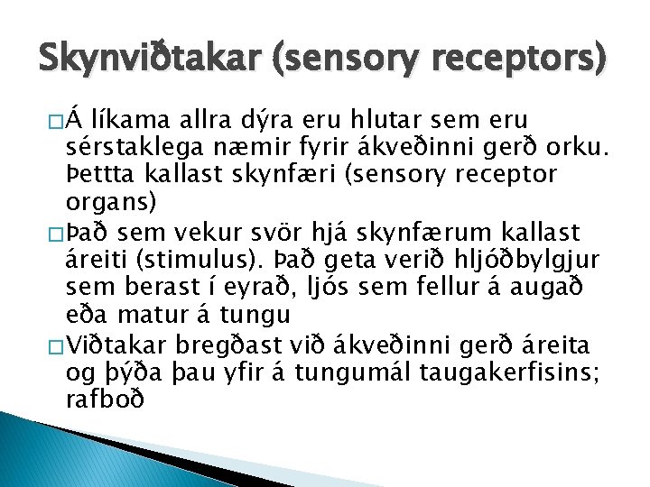 Skynviðtakar (sensory receptors) �Á líkama allra dýra eru hlutar sem eru sérstaklega næmir fyrir