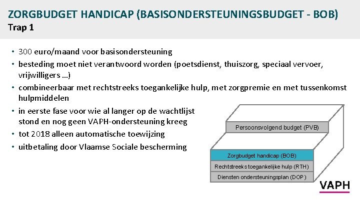 ZORGBUDGET HANDICAP (BASISONDERSTEUNINGSBUDGET - BOB) Trap 1 • 300 euro/maand voor basisondersteuning • besteding