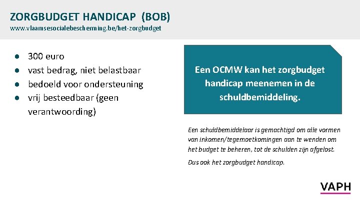 ZORGBUDGET HANDICAP (BOB) www. vlaamsesocialebescherming. be/het-zorgbudget ● ● 300 euro vast bedrag, niet belastbaar
