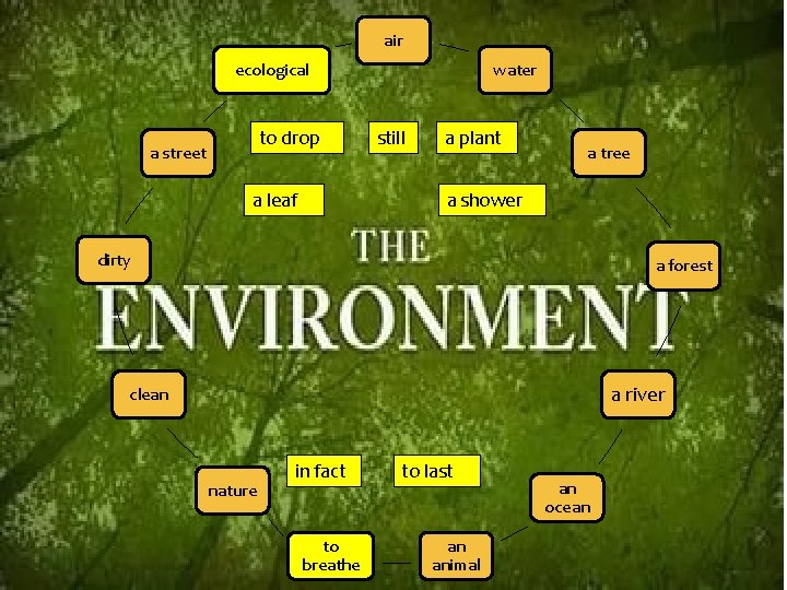 air ecological to drop a street a leaf water still a plant a tree