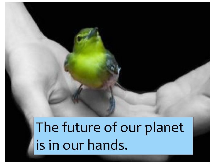 The future of our planet is in our hands. 