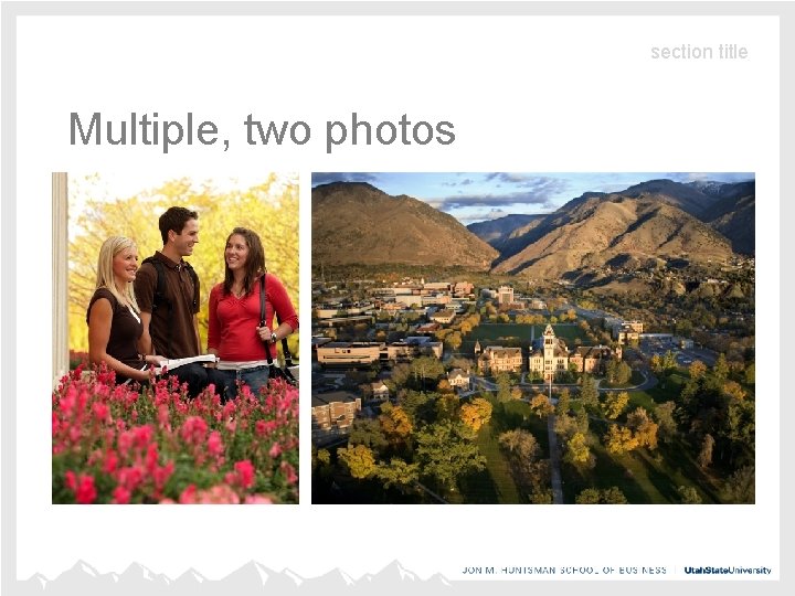 section title Multiple, two photos section title Multiple, two photos