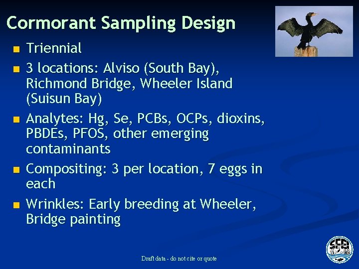Cormorant Sampling Design n n Triennial 3 locations: Alviso (South Bay), Richmond Bridge, Wheeler
