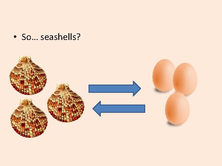  • So… seashells? 