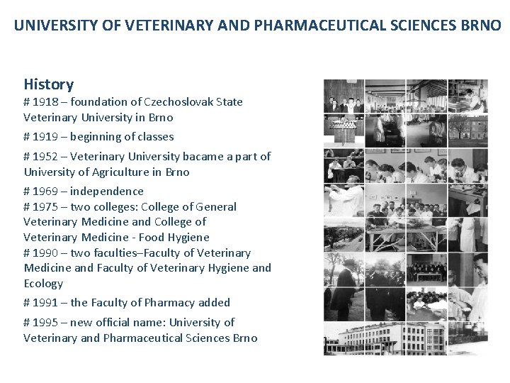 UNIVERSITY OF VETERINARY AND PHARMACEUTICAL SCIENCES BRNO History # 1918 – foundation of Czechoslovak