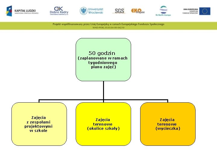 50 godzin (zaplanowane w ramach tygodniowego planu zajęć) Zajęcia z zespołami projektowymi w szkole