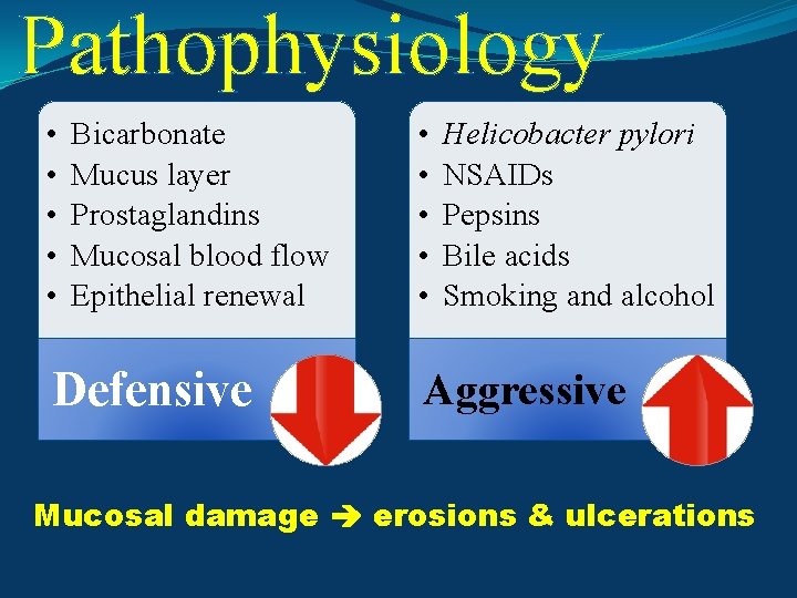 Pathophysiology • • • Bicarbonate Mucus layer Prostaglandins Mucosal blood flow Epithelial renewal Defensive