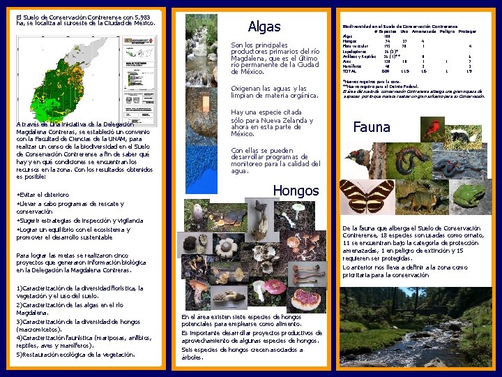 El Suelo de Conservación Contrerense con 5, 983 ha, se localiza al suroeste de