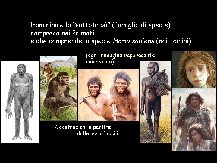 Hominina é la “sottotribù” (famiglia di specie) compresa nei Primati e che comprende la
