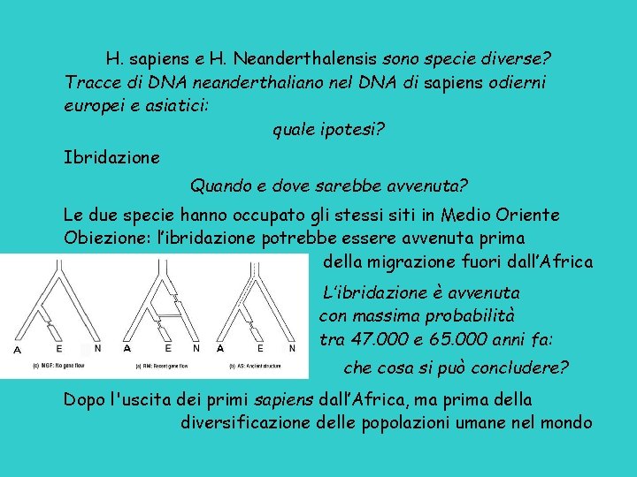 H. sapiens e H. Neanderthalensis sono specie diverse? Tracce di DNA neanderthaliano nel DNA