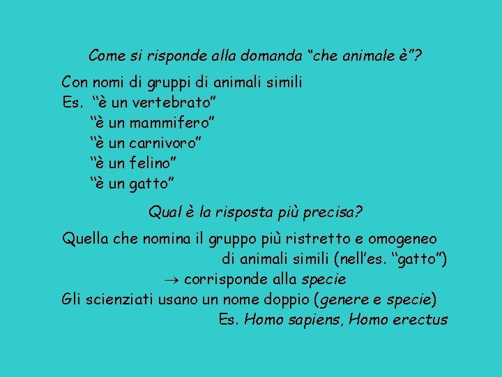 Come si risponde alla domanda “che animale è”? Con nomi di gruppi di animali