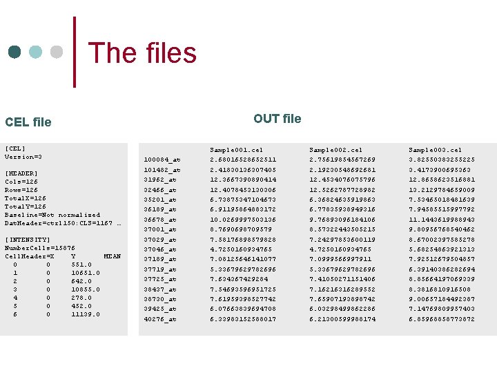 The files OUT file CEL file [CEL] Version=3 [HEADER] Cols=126 Rows=126 Total. X=126 Total.