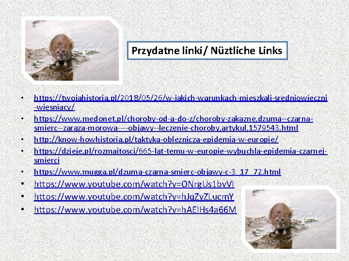 Przydatne linki/ Nüztliche Links • • • https: //twojahistoria. pl/2018/05/26/w-jakich-warunkach-mieszkali-sredniowieczni -wiesniacy/ https: //www. medonet.