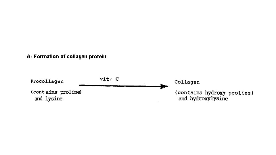 A- Formation of collagen protein 