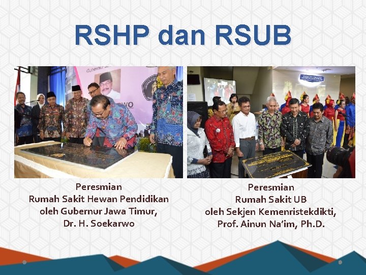 RSHP dan RSUB Peresmian Rumah Sakit Hewan Pendidikan oleh Gubernur Jawa Timur, Dr. H.