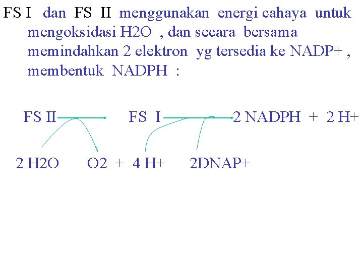 FS I dan FS II menggunakan energi cahaya untuk mengoksidasi H 2 O ,