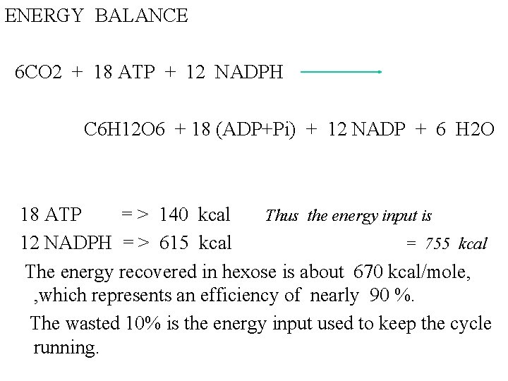 ENERGY BALANCE 6 CO 2 + 18 ATP + 12 NADPH C 6 H